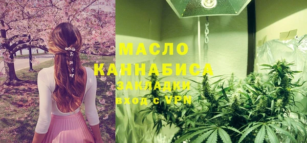 2c-b Горно-Алтайск