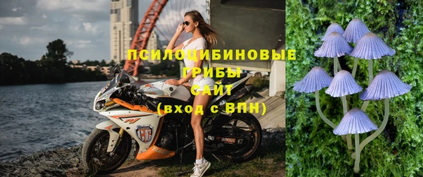 крисы Гусев