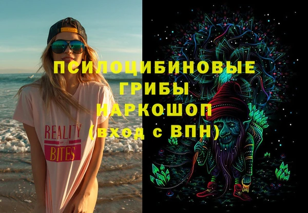 spice Щучье